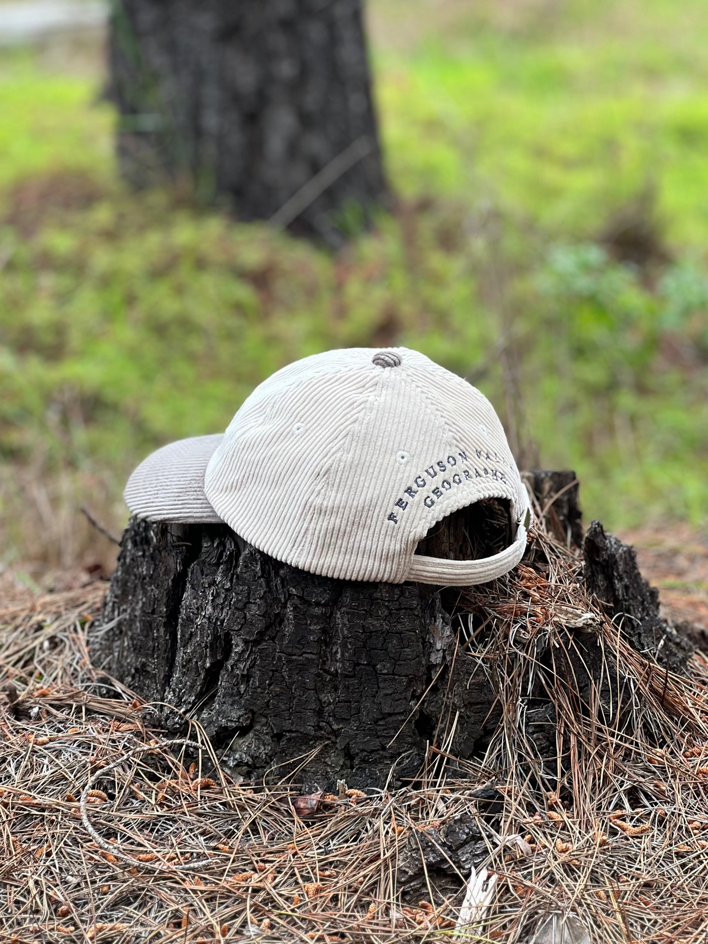 White cap on a tree stump in a forest setting