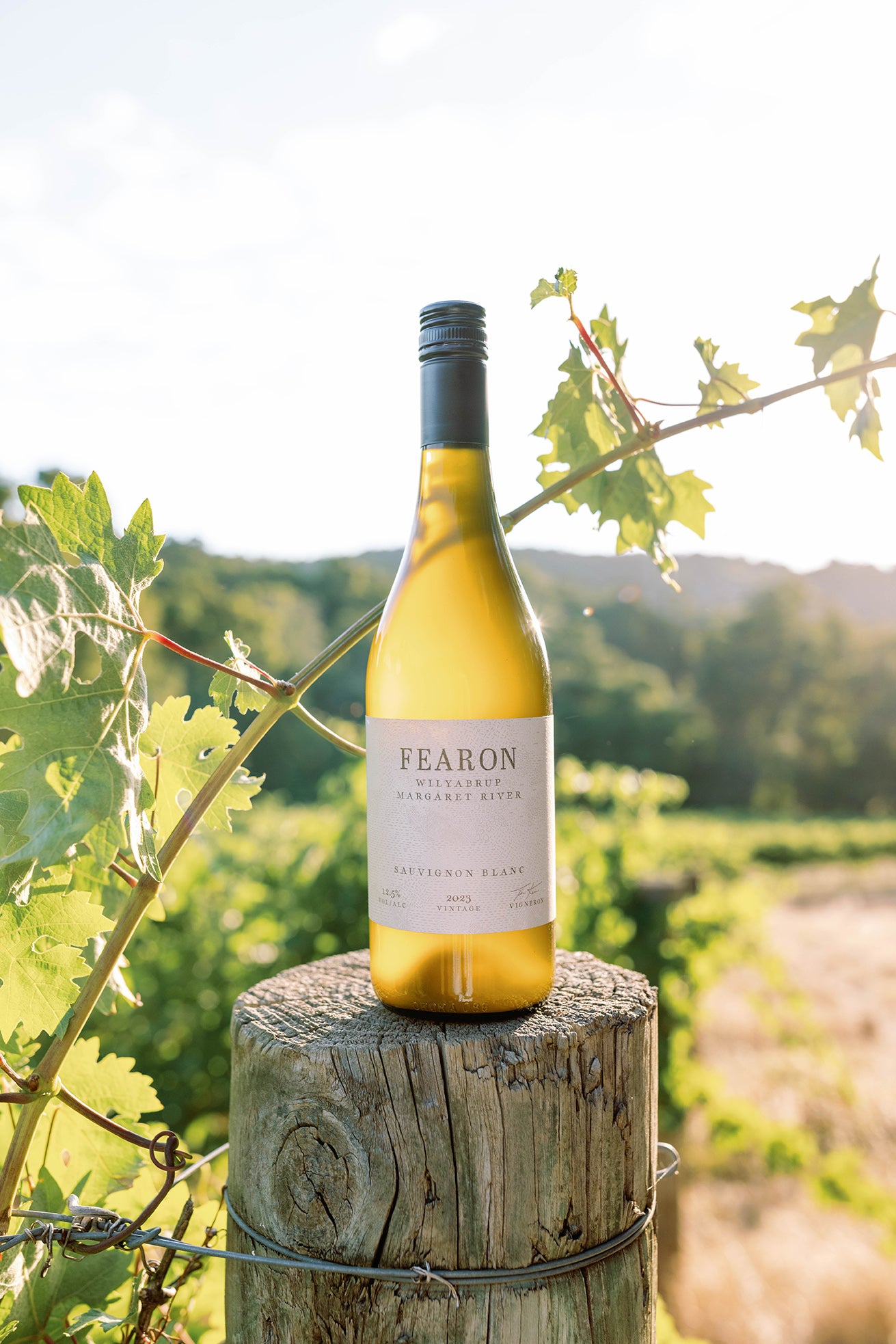 2023 Fearon Sauvignon Blanc